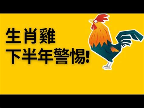 屬雞佩戴|2023生肖與生活配件運勢大解析